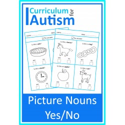 Vocabulary Picture Yes No Worksheets
